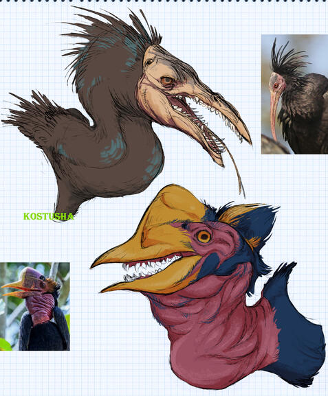birbs